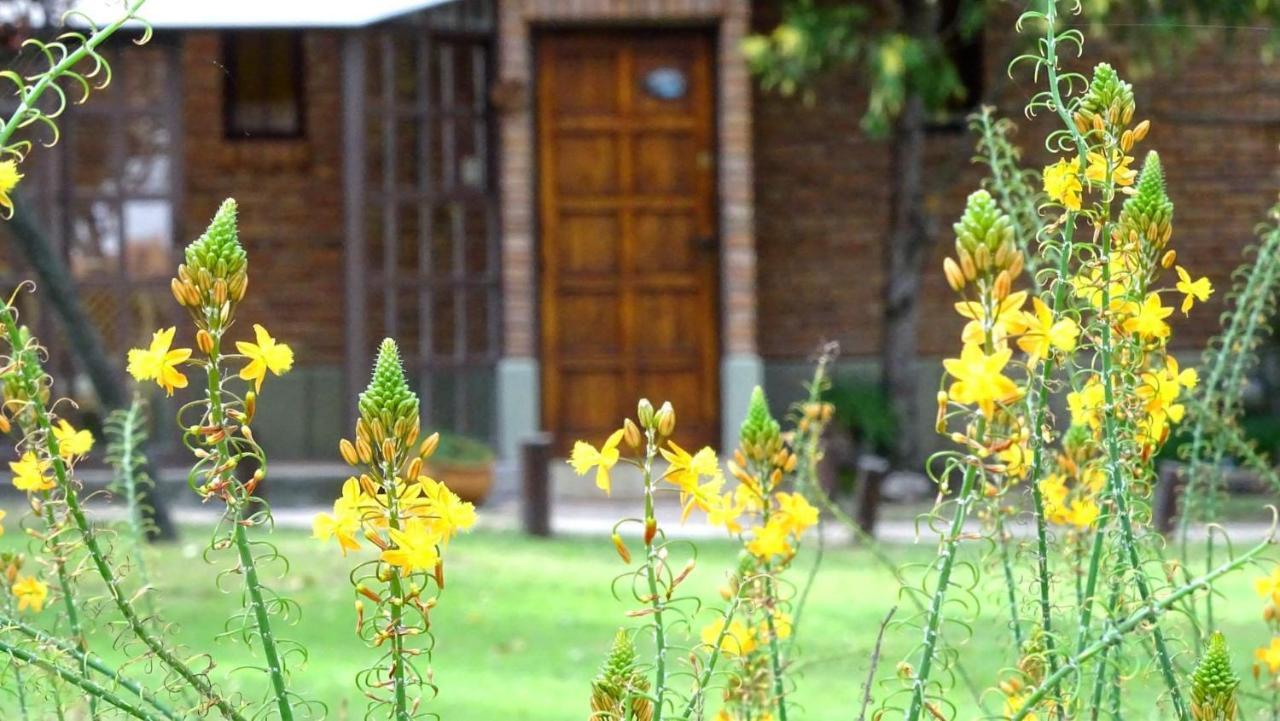 Cabanas Agua Que Brilla Mina Clavero Bagian luar foto